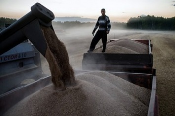 Турция приостановила беспошлинный импорт российского зерна