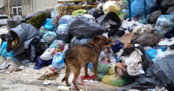 Во Львове надо объявить чрезвычайное положение из-за проблем мусором - Садовой