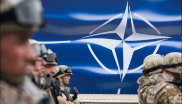 В Эстонию прибыли первые военнослужащие группы быстрого реагирования НАТО
