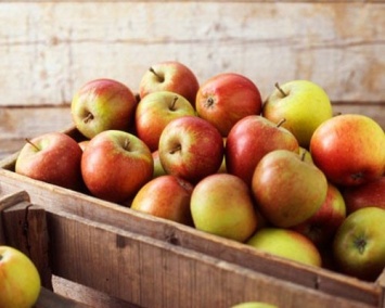 Перед попаданием на прилавки магазинов яблоки хранятся около года