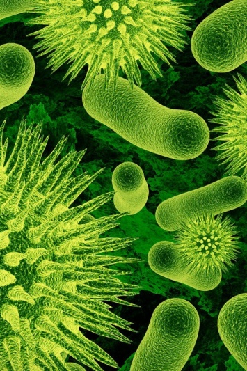 Стала возможна экспресс-диагностика бактериальных инфекций
