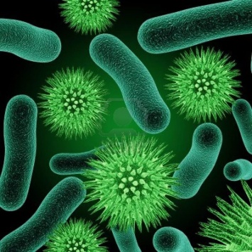 На территории Смоленска найдены опасные бактерии