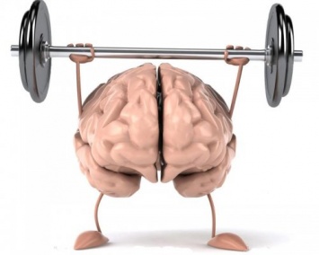 Ученые рассказали о важности тренировки мозга