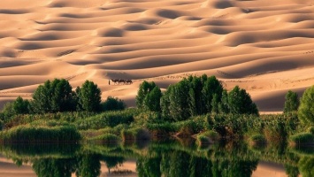 Исследователи выяснили, что в прошлом Сахара была оазисом