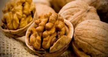 Грецкие орехи: 8 чудес для различных органов нашего тела