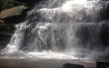 В Гане при падении дерева у водопада погибли 20 человек