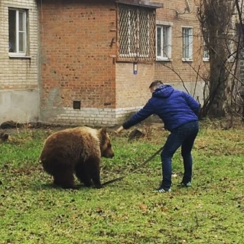 На улице в Таганроге разгуливал мужчина с медведем