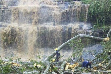 В Гане из-за падения дерева погибли около 20 школьников и туристов