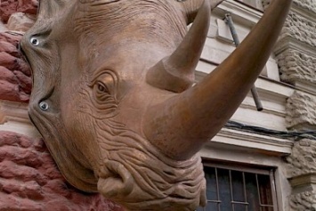 В центре Одессы появился носорог (ФОТО)