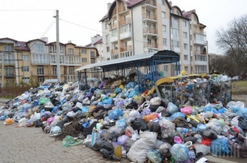 Во Львове из-за мусорной катастрофы могут закрыть школы и детсады