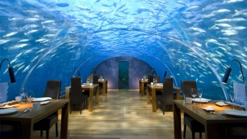 На дне: лучшие подводные рестораны