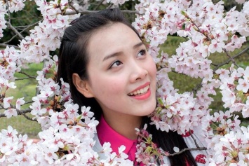 В Японии начался фестиваль цветения сакуры