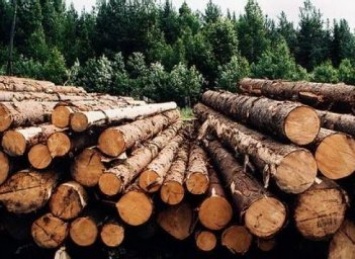 "ЛИАЦ" и "Лачтбахер Украина" разрабатывают электронное приложение для контроля полицейскими легальности заготовленного леса