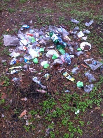 Неизвестные захламили лес в Новоодесском районе бытовым мусором