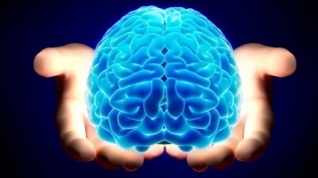 Человеческий мозг игнорирует негатив