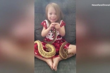 Игру трехлетней американки с королевскими питонами сняли на видео