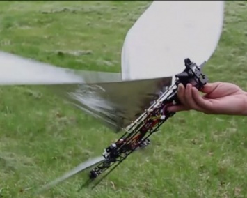 Инженеры из Великобритании создали дрон с "птичьими" крыльями