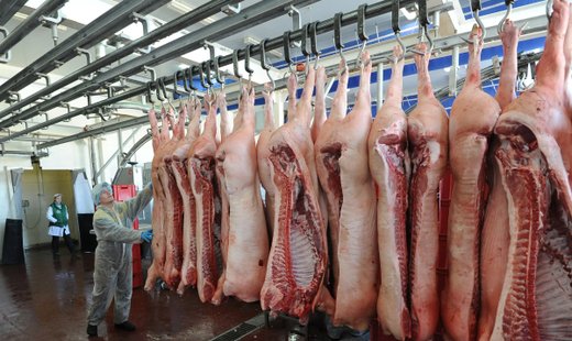 В России на 3,5% увеличилось производство свинины и на 8% - птицы