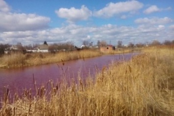 В Черниговской области появилось розовое озеро