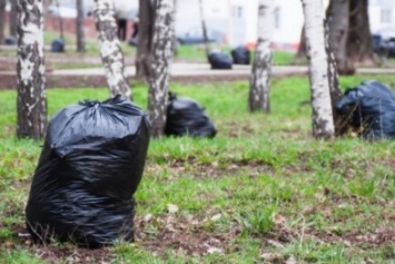 К Пасхе в Киеве очистят от мусора все парки