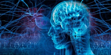 Российские ученые нашли способ борьбы с эпилепсией