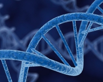 Ученые: Причина аномального бесплодия у женщин заключена в патологии ДНК