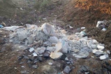 В Кременчуге водитель Ланоса выгрузил мусор прямо на улице (ФОТО)