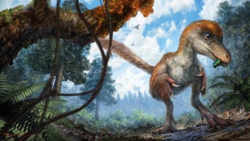 Ученые предлагают пересмотреть классификацию динозавров
