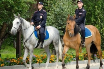 Завтра конная полиция выйдет на улицы Киева