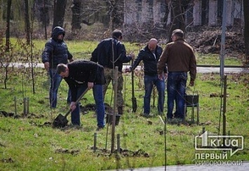 В Кривом Роге высадили деревья в память о погибших бойцах АТО