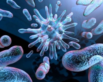 Ученые: Космос ускоряет развитие жизни бактерий
