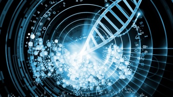 Циркулярная РНК пригодна для кодирования белков - Ученые