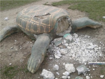 В Керчи до сих пор не приступили к ремонту черепахи
