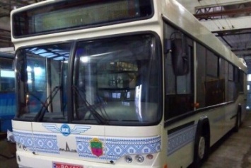 В Запорожье будет курсировать новый автобус по 3 гривны