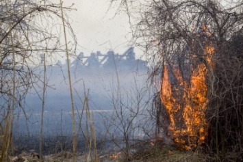Пожар на Правобережье Мариуполя. Выгорело около 400 кв. м территории (ФОТО)