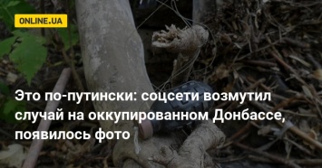 Это по-путински: соцсети возмутил случай на оккупированном Донбассе, появилось фото