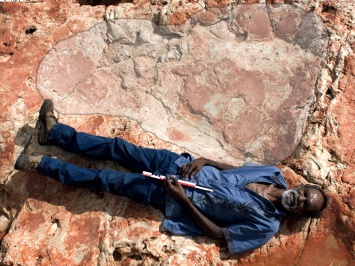 В Австралии обнаружен самый большой след динозавра
