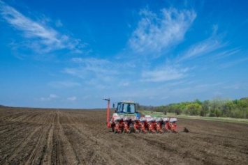 На Днепропетровщине посеяли почти 70 тысяч гектаров ранних зерновых