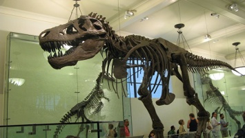 В Австралии нашли самый большой след динозавра