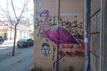 Розовый фламинго поселился на стене дома в Одессе (ФОТО)