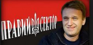 Навальный мог действовать в интересах Украины