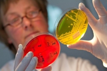 Смертельная супербактерия не оставит человечеству шансов (ВИДЕО)