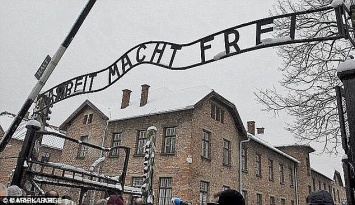 Два британских школьника украли исторические артефакты в Освенциме и заплатят штраф