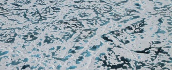 Ученые выяснили, почему зеленеет лед в Арктике