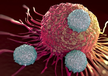Эффективность лечения рака повышают противоревматические препараты