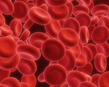 Ученые рассказали, зачем будут "варить" человеческую кровь
