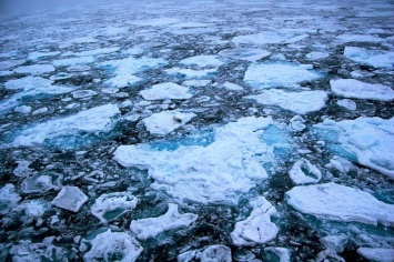 Ученые выяснили, по какой причине лед в Арктике зеленый