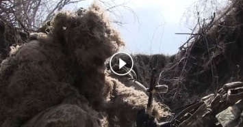Как работают украинские снайперы в зоне АТО: появилось видео