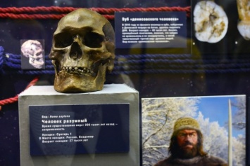 В Краснодаре стартует выставка «17 черепов и зуб»