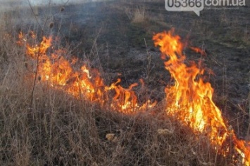 Кременчугские пожарные два часа тушили остров "Зеленый". 4 гектара растительности спасти не удалось